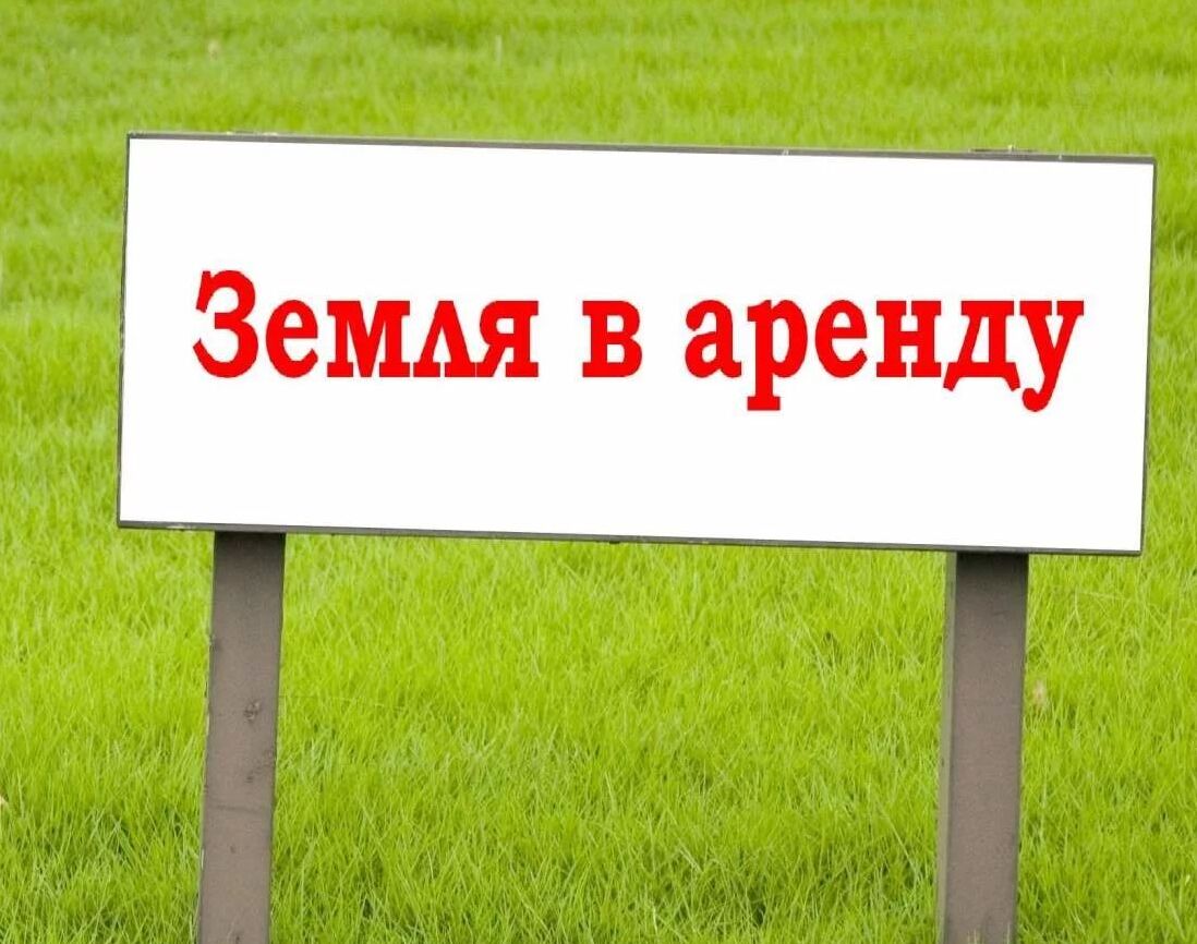 фото из открытых интернет-источников.