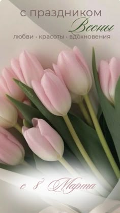 фото из открытых интернет-ресурсов.