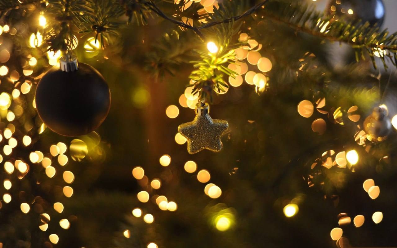 фото из открытых интернет-ресурсов.