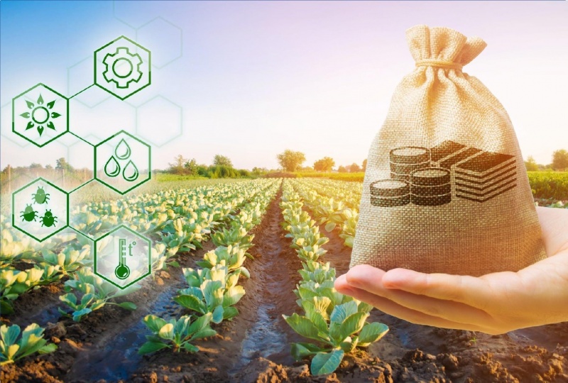 Завершается прием заявок на предоставление субсидий Минсельхоза.