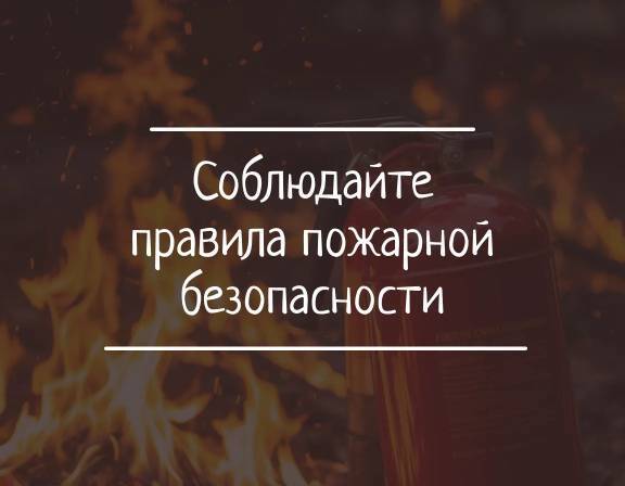 изображение из открытых интернет-ресурсов.