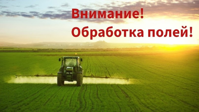 Внимание!  Обработка полей!.