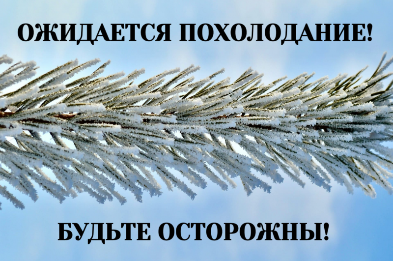 фото из открытых интернет-ресурсов.