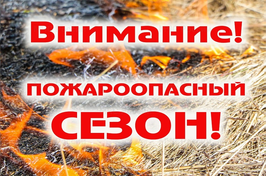 фото из открытых интернет-ресурсов.