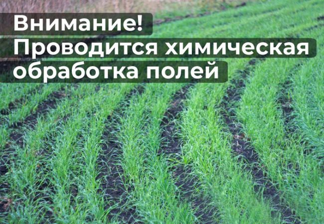 фото из открытых интернет-источников).